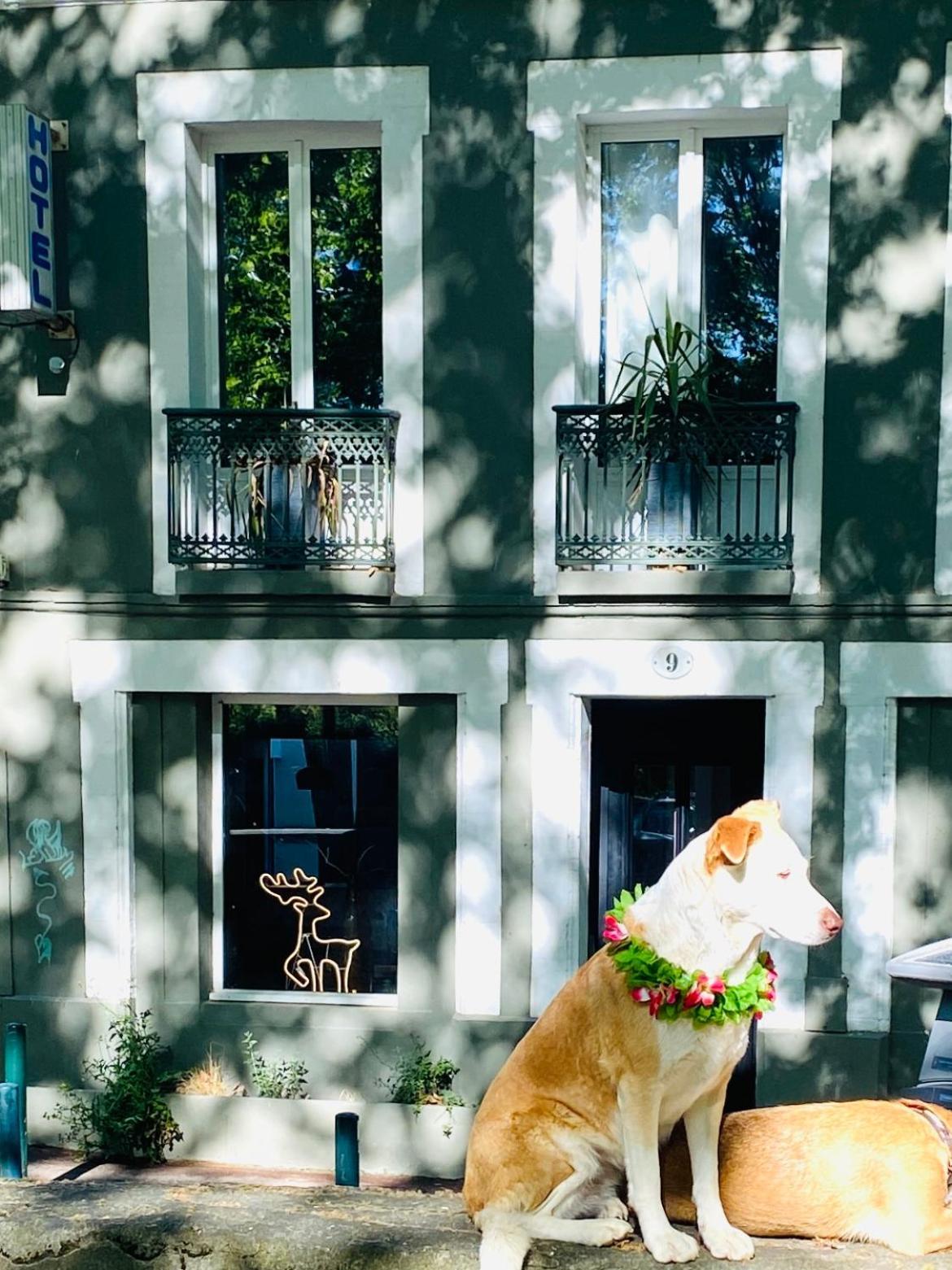 Superbe Grande Maison - Amis - Familles - Entreprises Toulouse Buitenkant foto